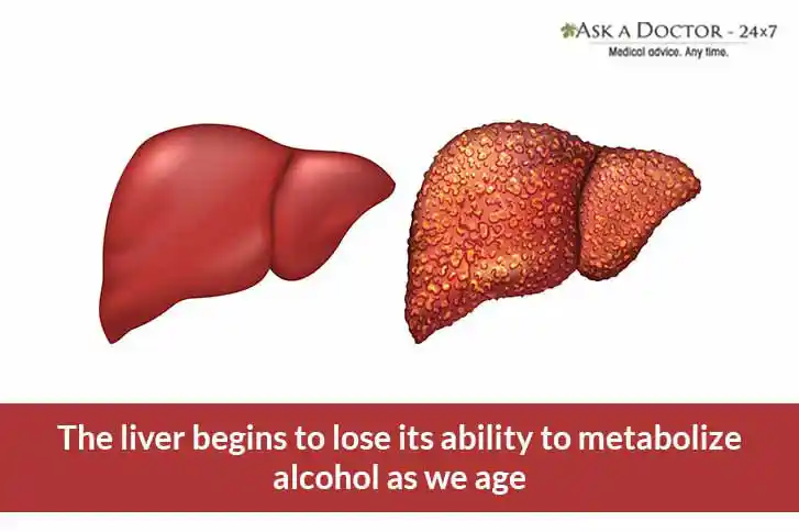 image of human liver=